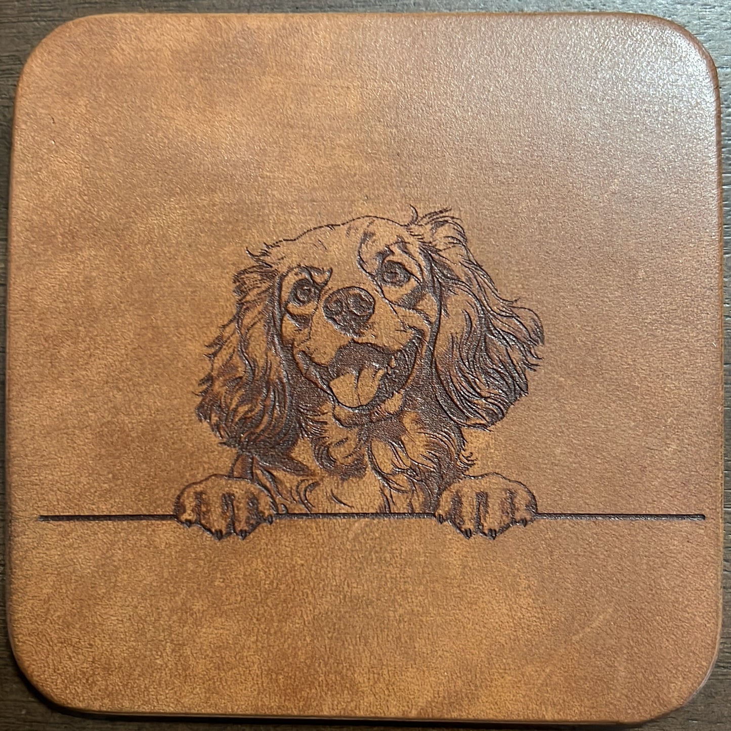 Leather Dog Coasters 1