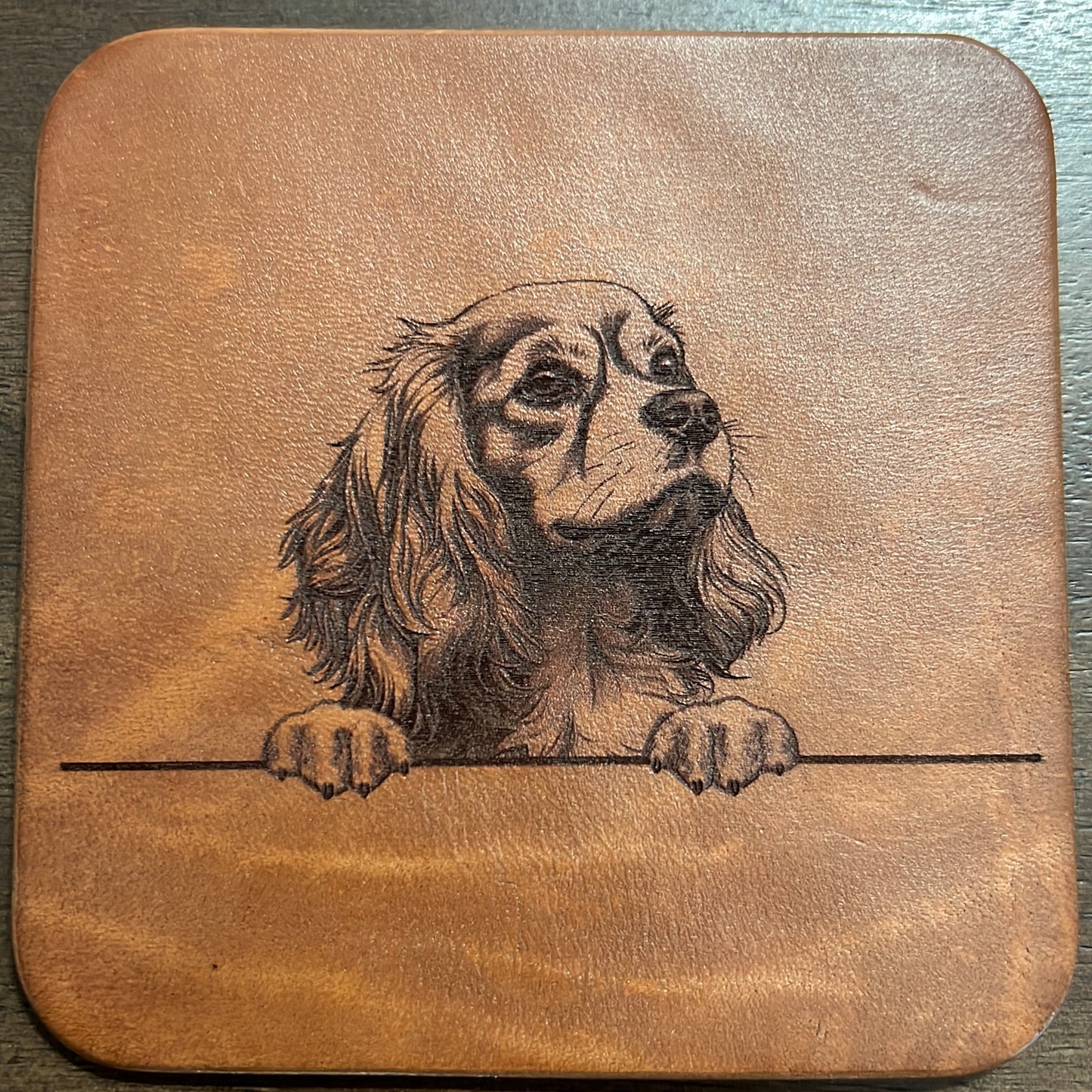 Leather Dog Coasters 1