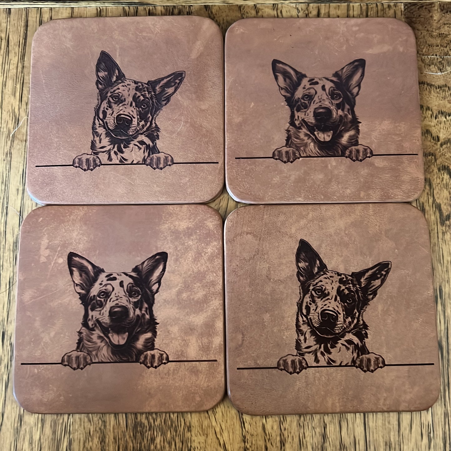 Leather Dog Coasters 1